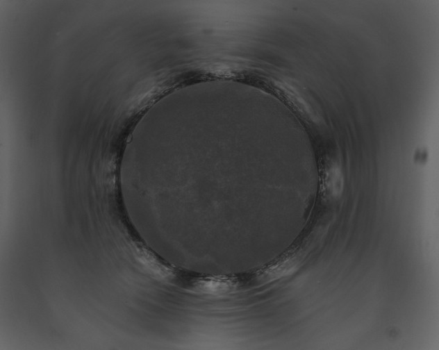 X0000091510466200708241632