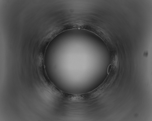 X0000091510468200708241632