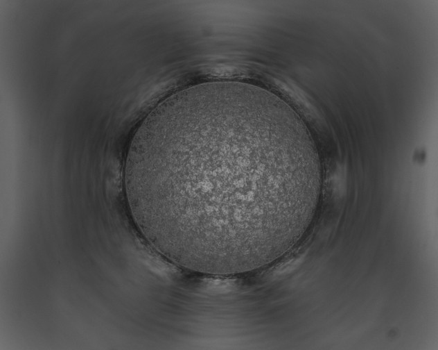 X0000091510469200708241632