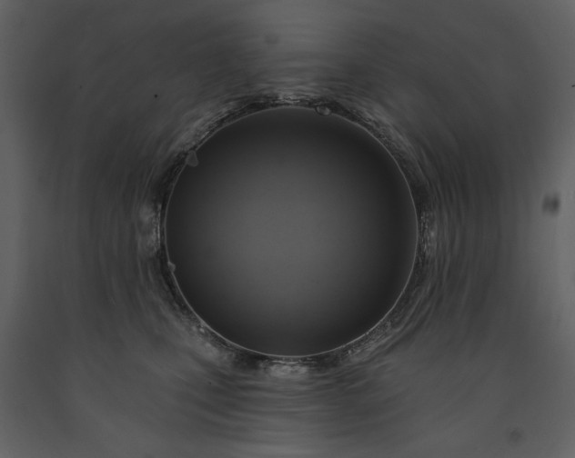 X0000091510471200708241632