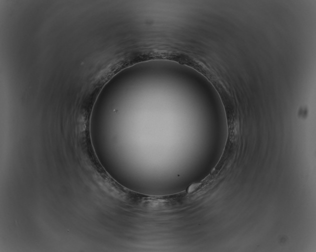 X0000091510472200708241632