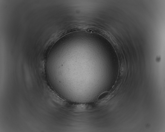 X0000091510473200708241633