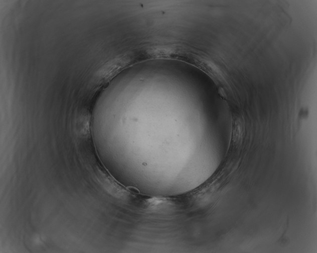 X0000091510477200708241633