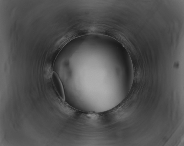 X0000091510478200708241633