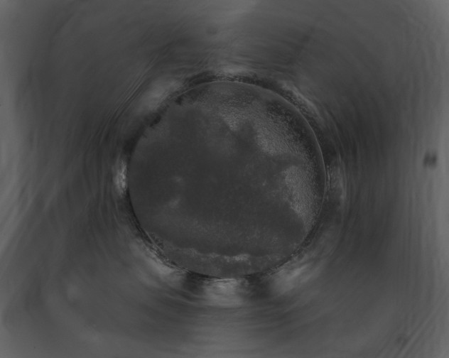 X0000091510479200708241633