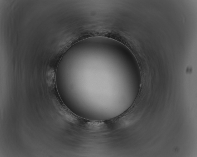 X0000091510480200708241633