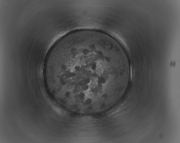 X0000091510483200708241632