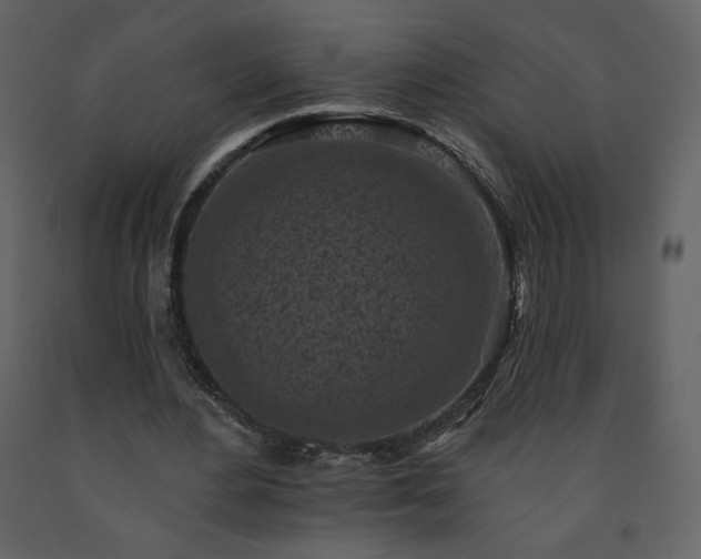 X0000091510484200708241632