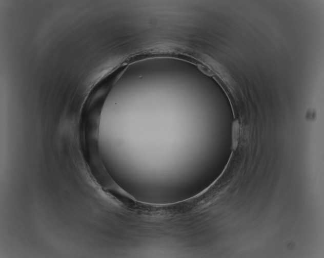 X0000091510485200708241632