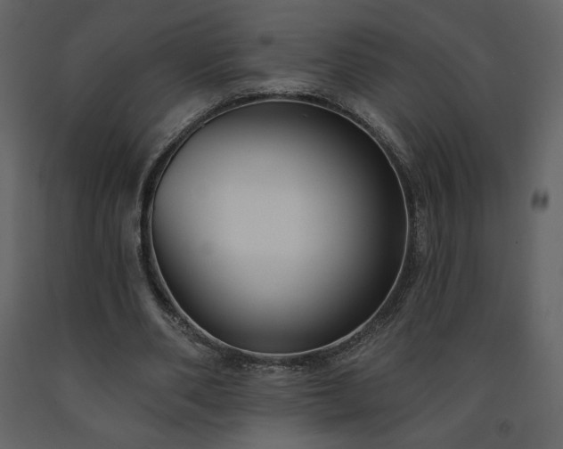 X0000091510486200708241632