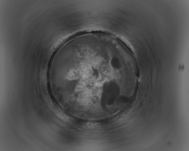 X0000091510487200708241632