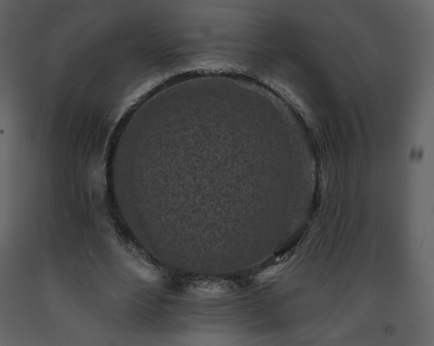 X0000091510488200708241632