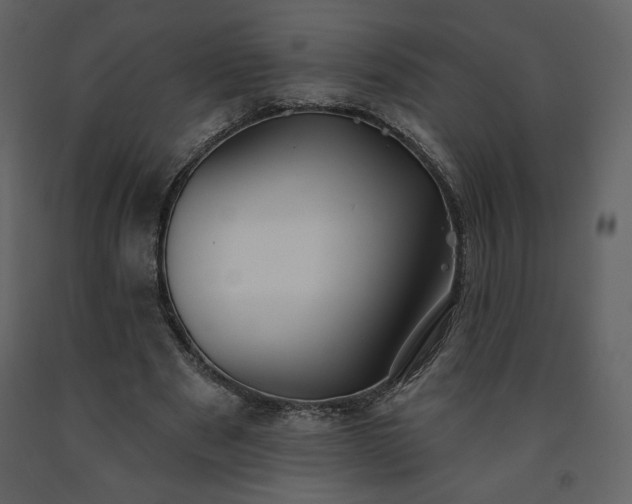 X0000091510489200708241632