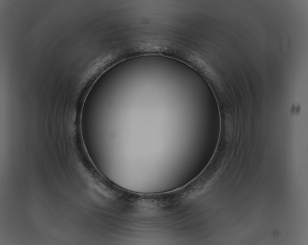 X0000091510490200708241632