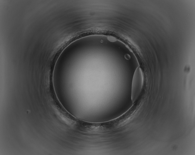 X0000091510493200708241632