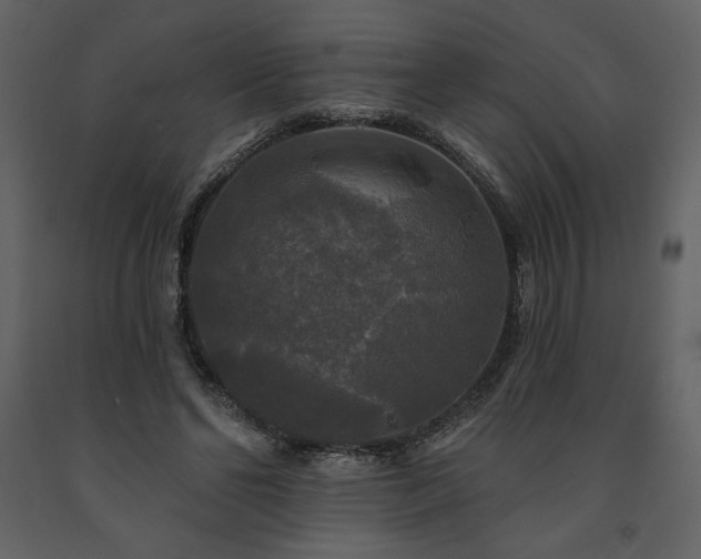 X0000091510494200708241632