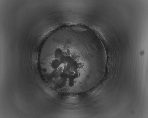 X0000091510495200708241632