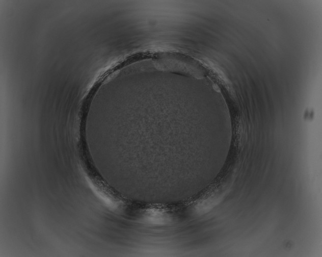 X0000091510496200708241632