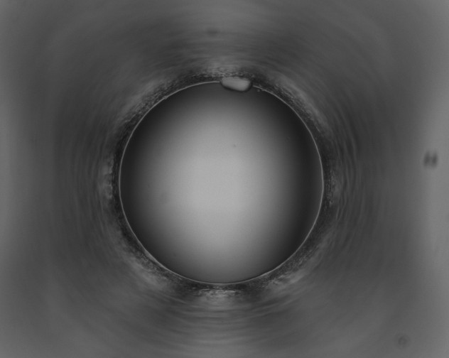 X0000091510497200708241632