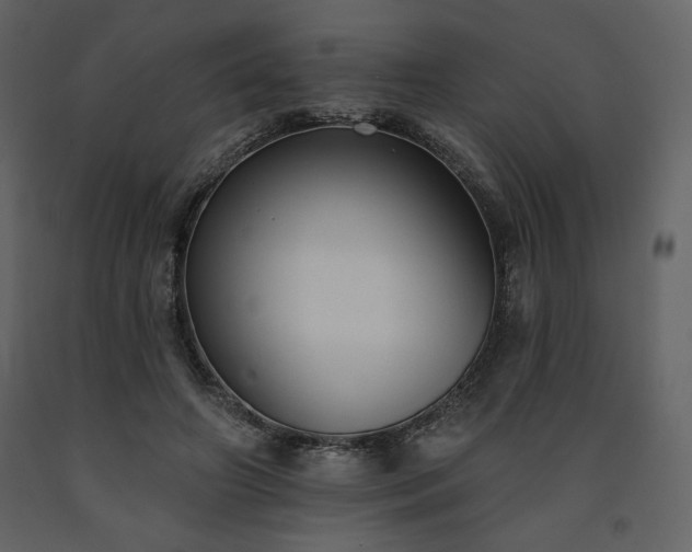 X0000091510498200708241632