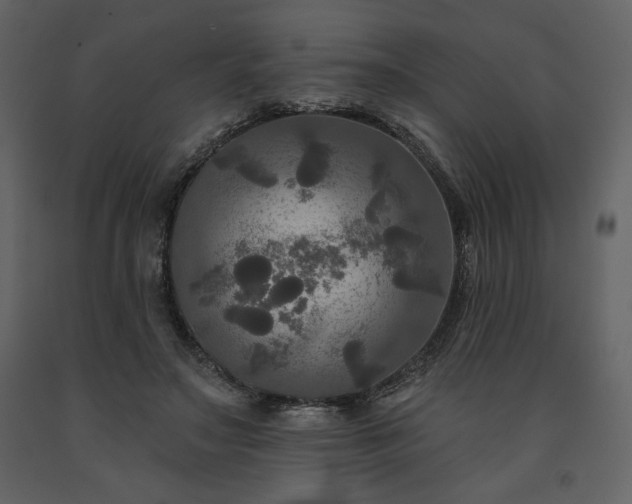 X0000091510499200708241632