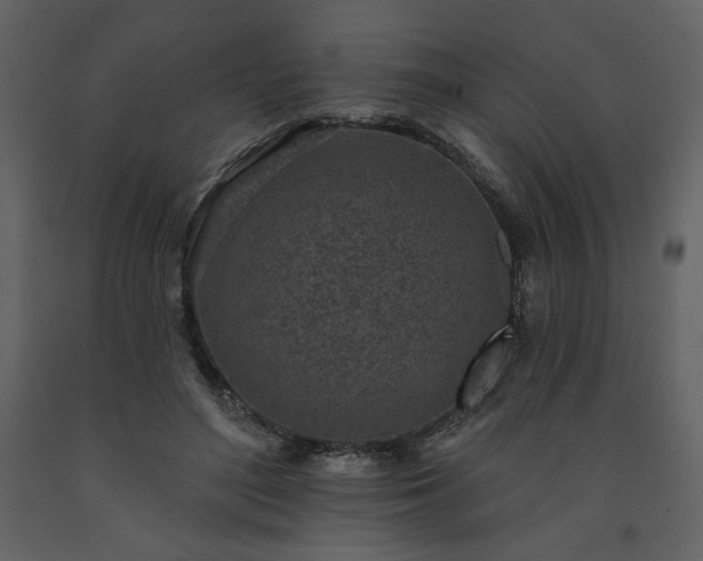 X0000091510500200708241632