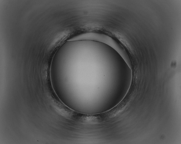 X0000091510501200708241632