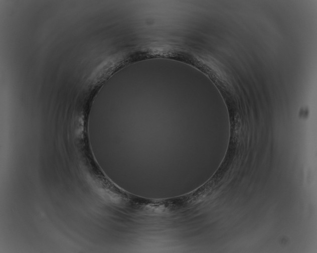 X0000091510502200708241632