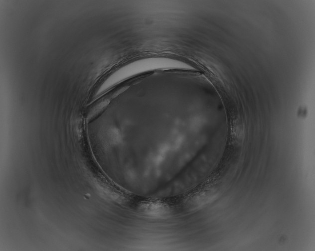 X0000091510503200708241632