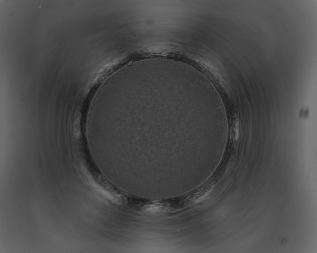 X0000091510504200708241632