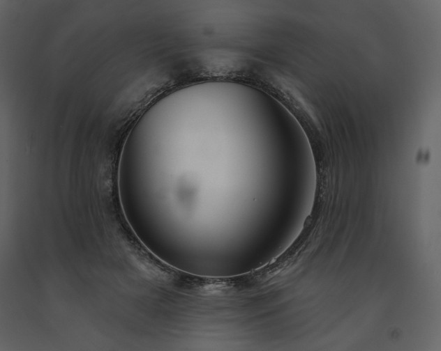 X0000091510505200708241632