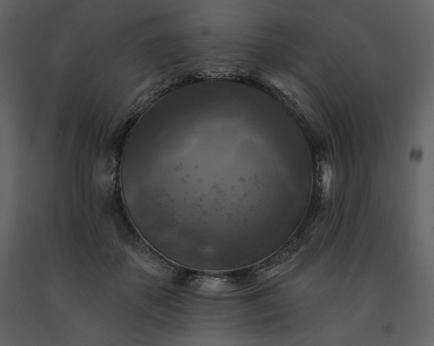 X0000091510507200708241632