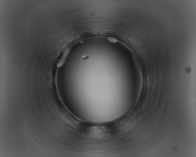 X0000091510508200708241632