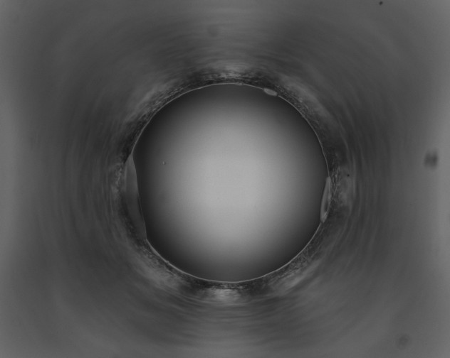 X0000091510509200708241632