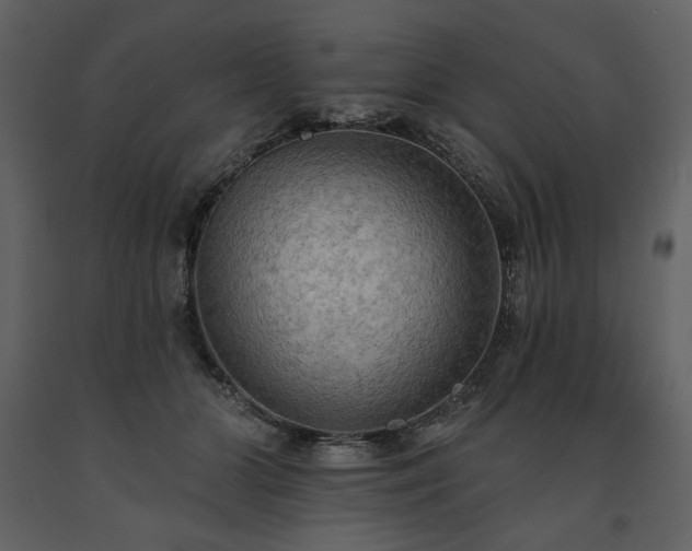 X0000091510510200708241632