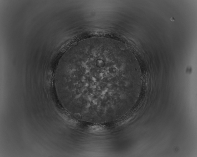 X0000091510511200708241632