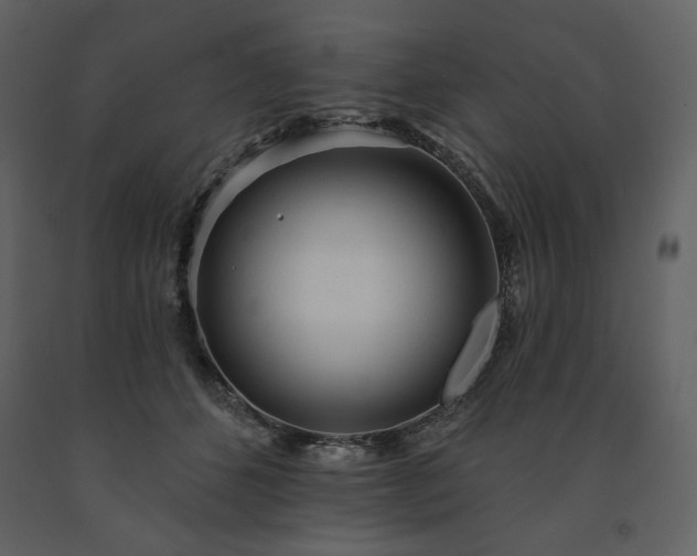 X0000091510512200708241632