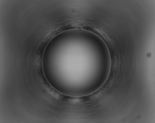 X0000091510513200708241632