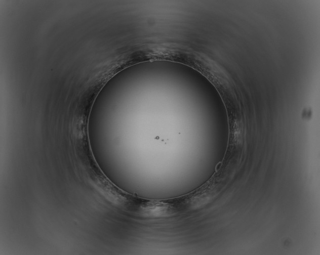 X0000091510514200708241632