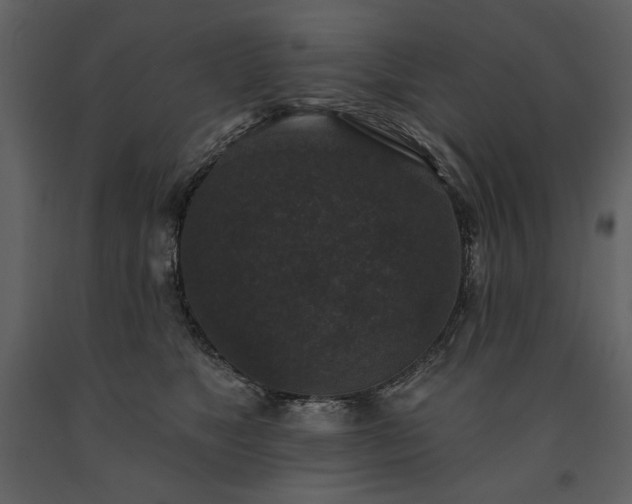 X0000091510517200708241631