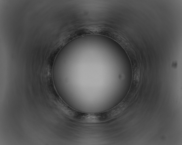 X0000091510518200708241631