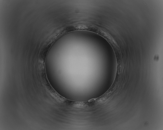 X0000091510521200708241631