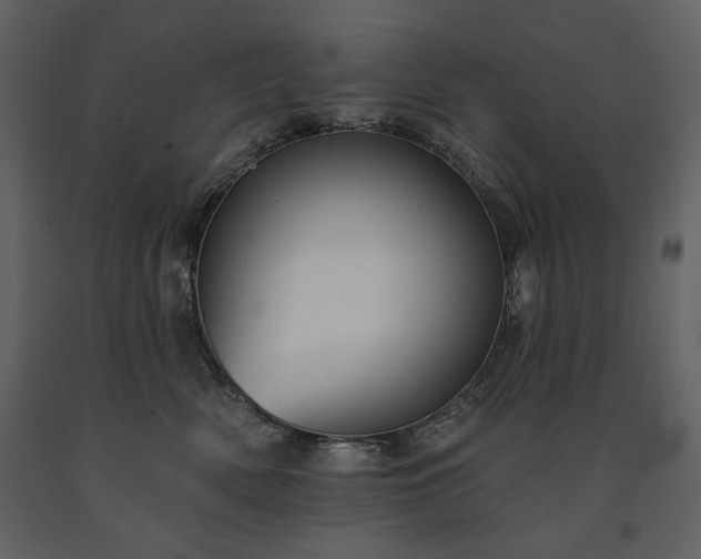 X0000091510522200708241631