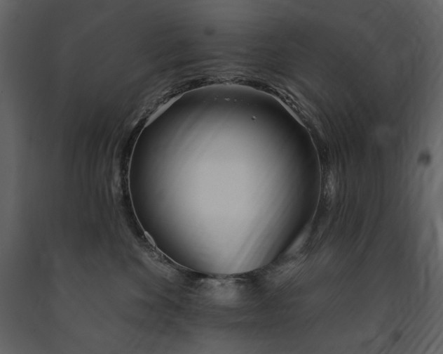 X0000091510524200708241631