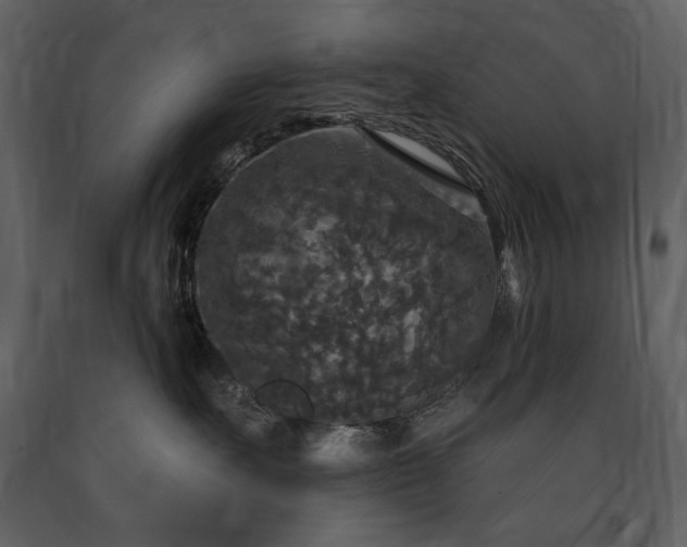 X0000091510527200708241631