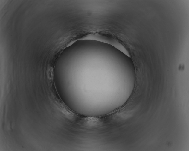 X0000091510528200708241631