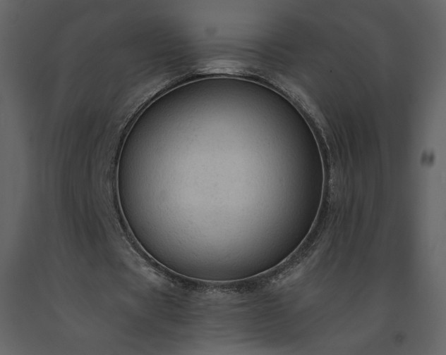 X0000091510529200708241631