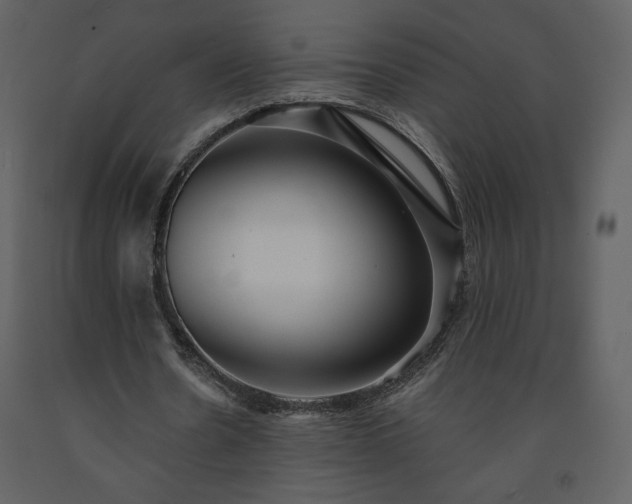 X0000091510530200708241631