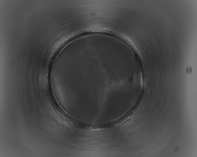 X0000091510531200708241631