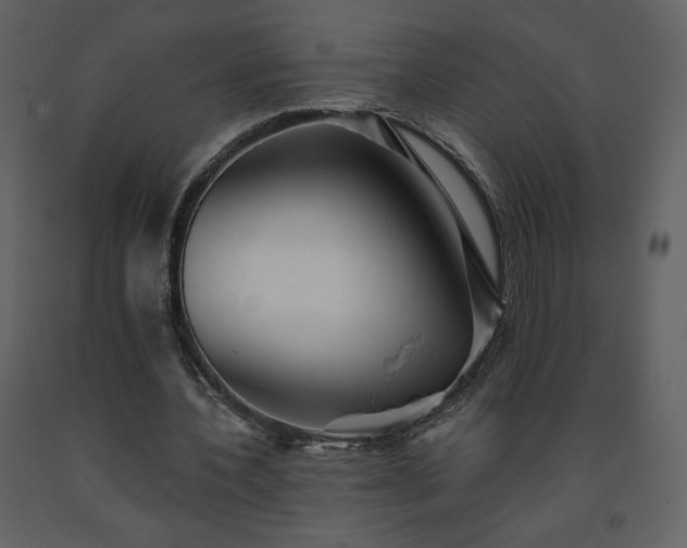 X0000091510532200708241631